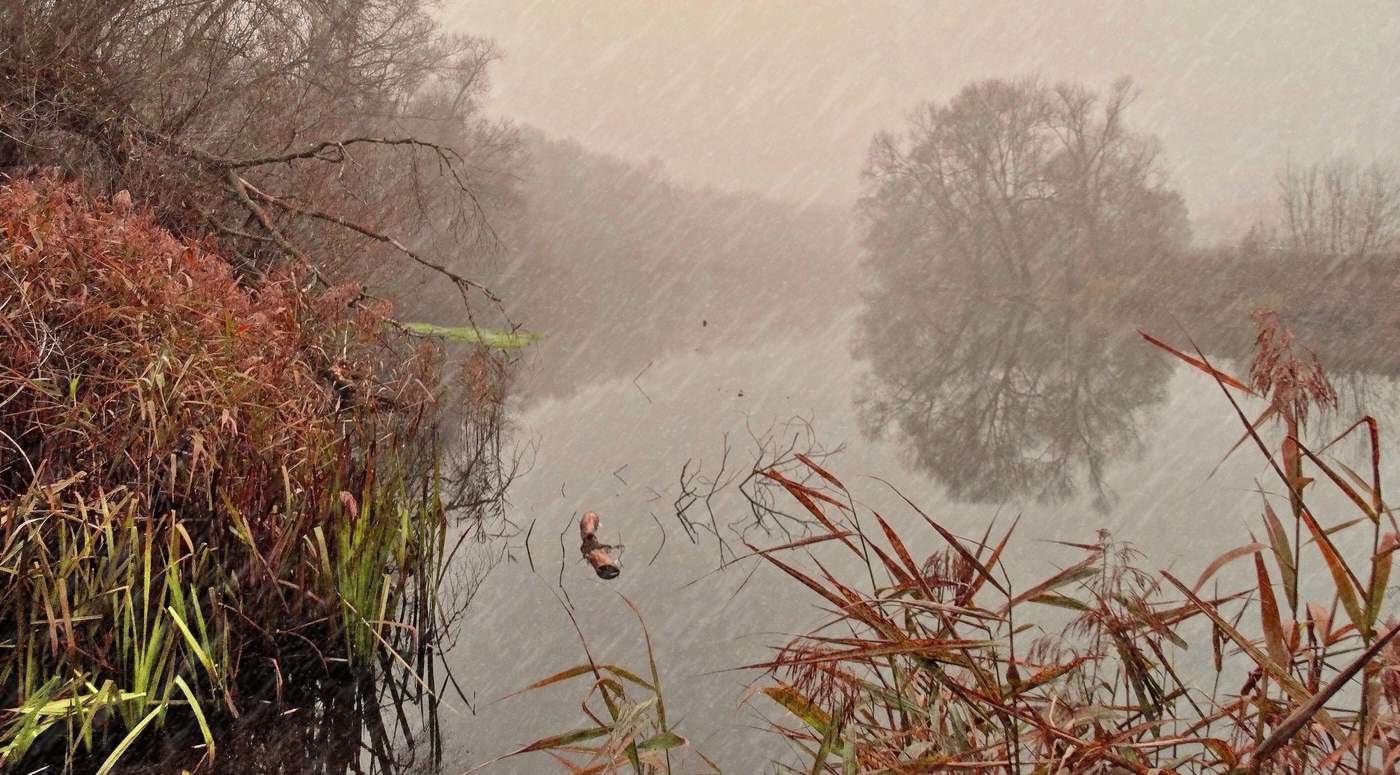 Дождливое настроение