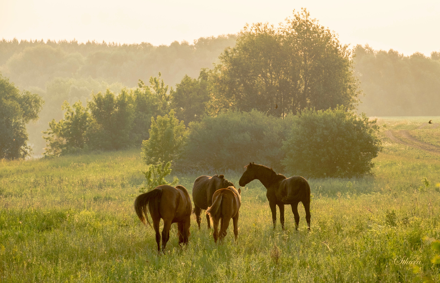 В поле у реки.