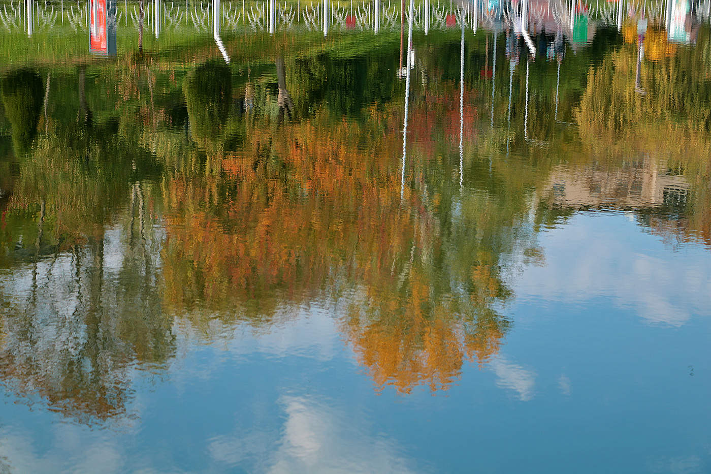 Перевёрнутый мир