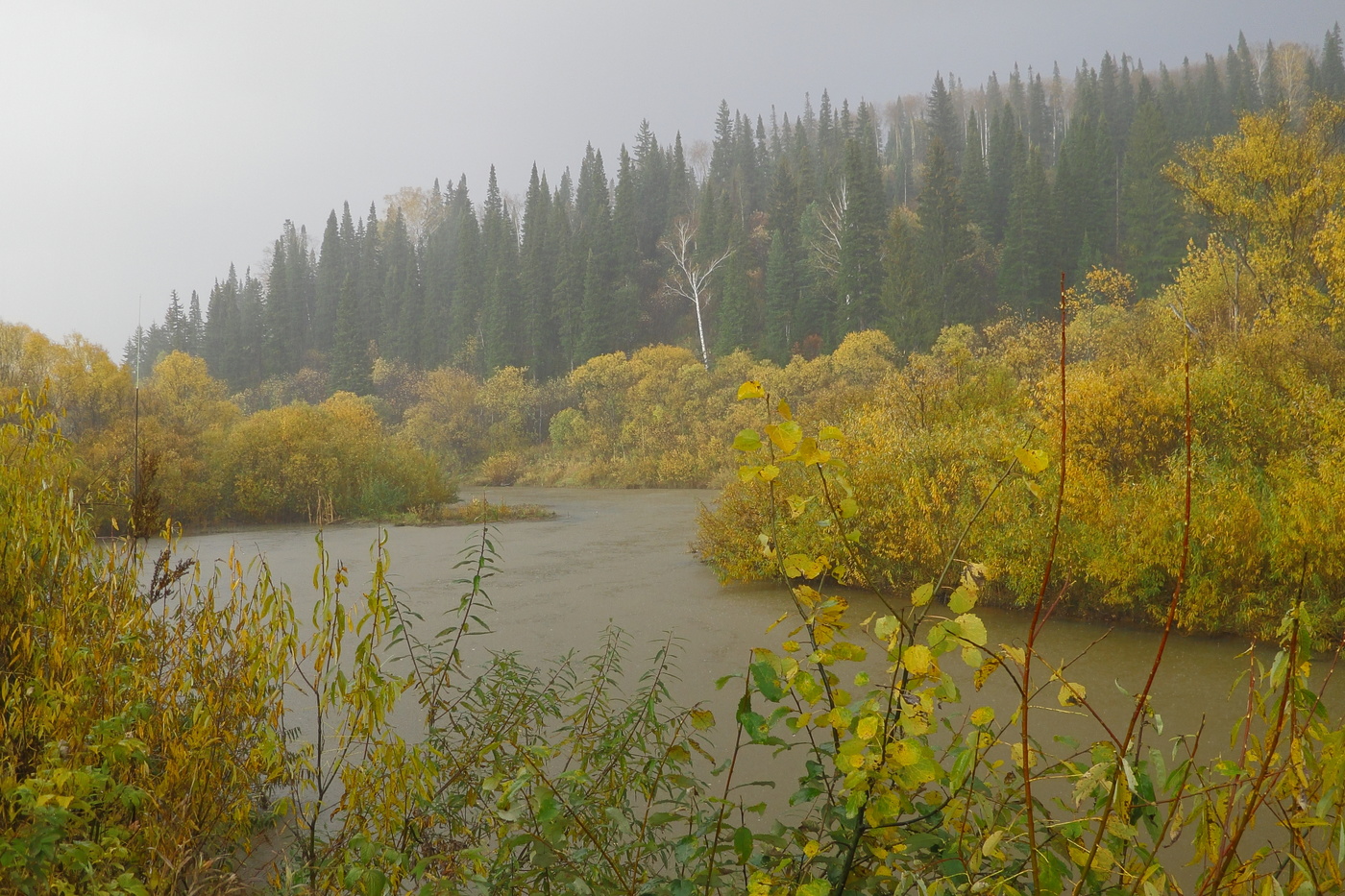 Дождливое настроение