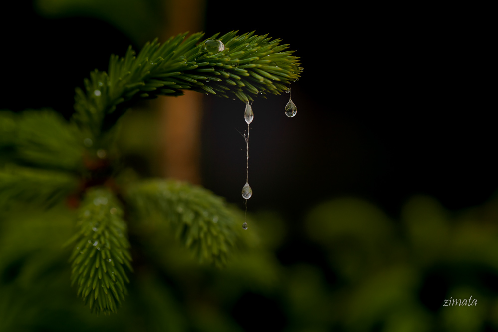 Дождливое настроение