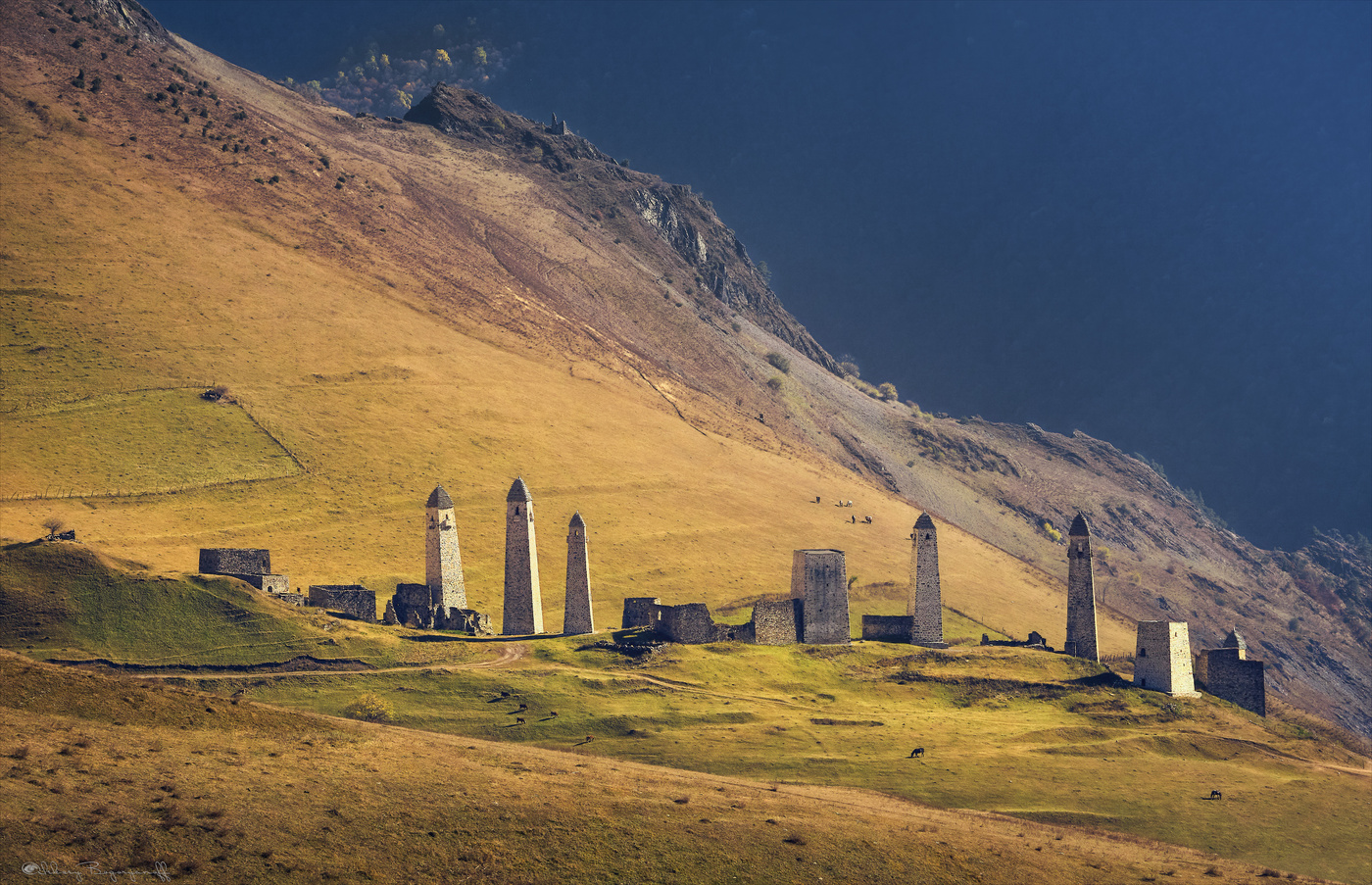 Башенный комплекс Эрзи.