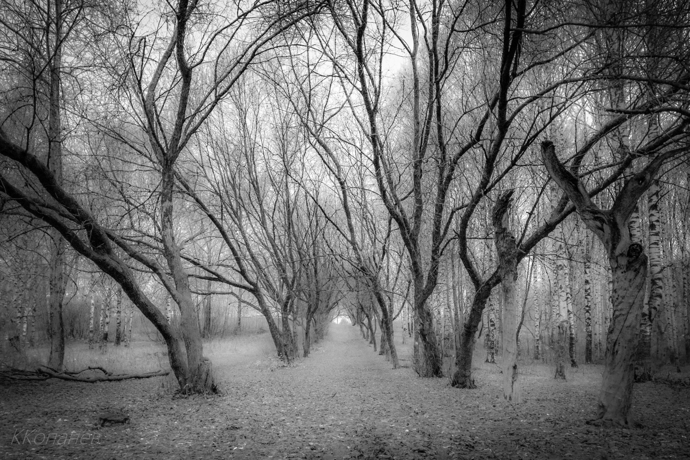 По дороге сказки