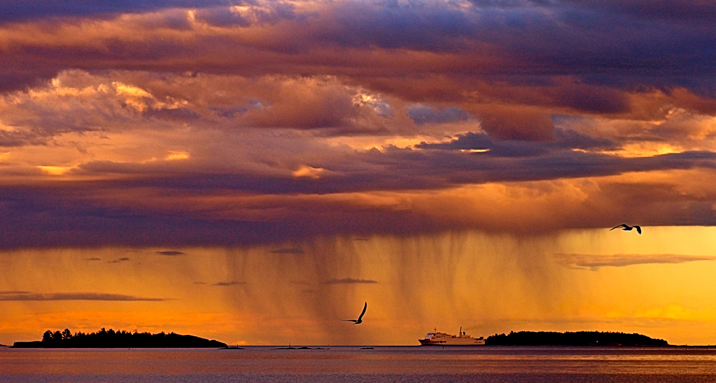 Перед дождём