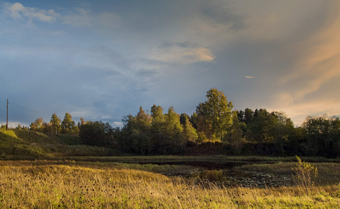 Перед грозой