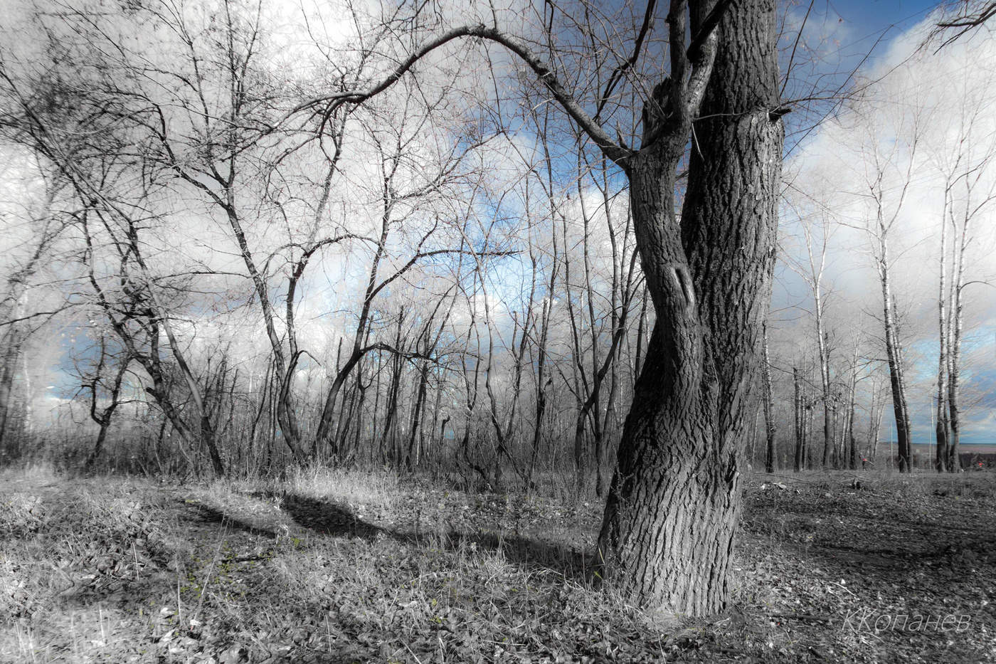 Единение чувств