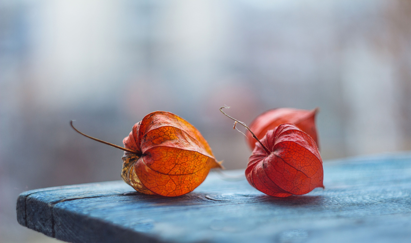 Осенние фонарики