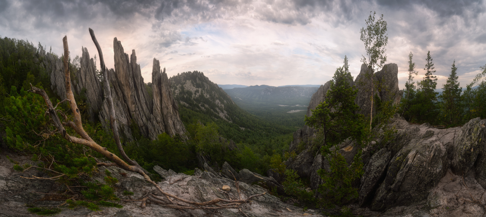 К вершине Двухглавой сопки. Перья.