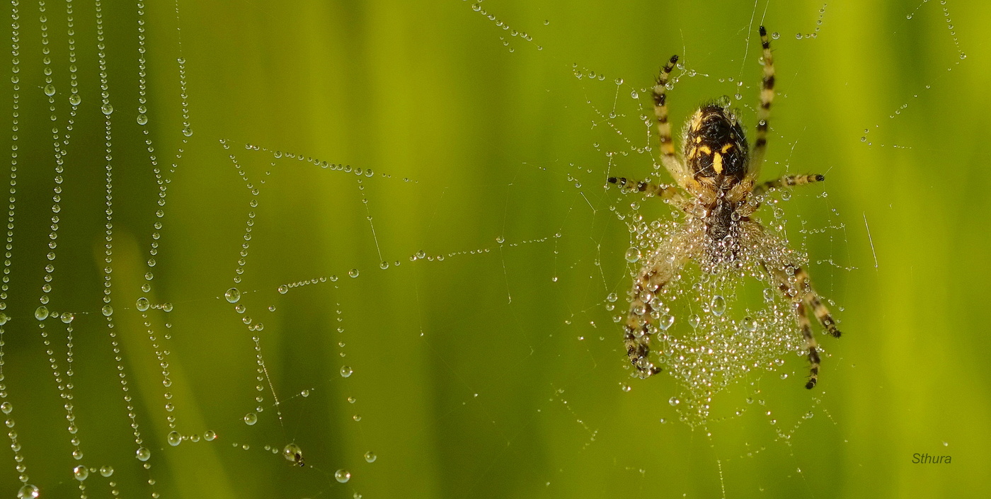 Утренние процедуры.