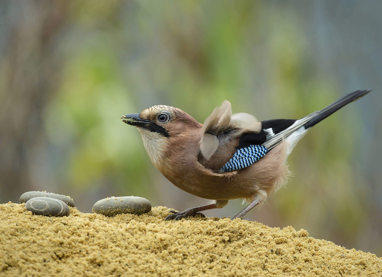 Когда пляж опустел