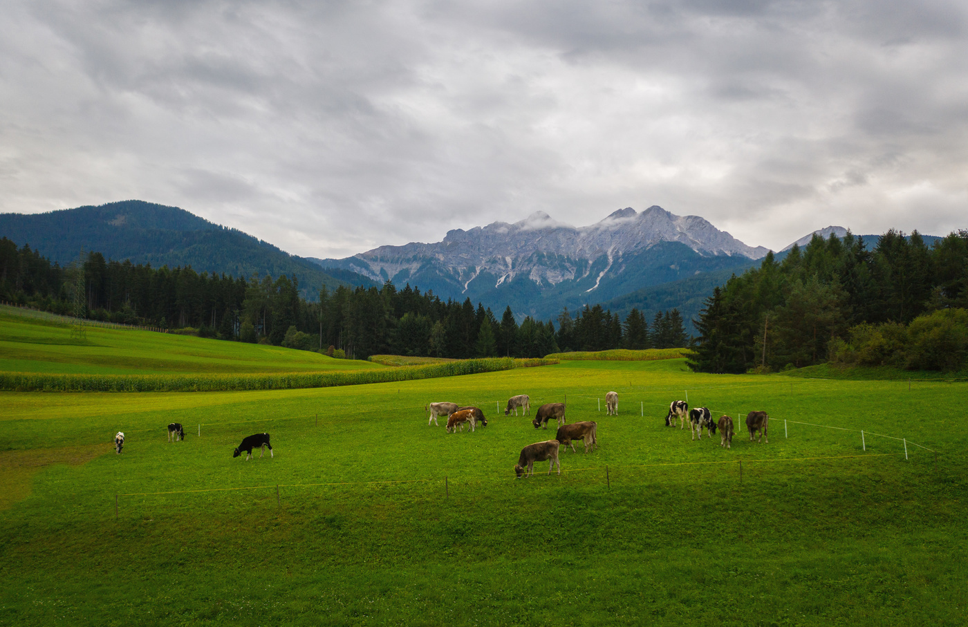 Горное пастбище