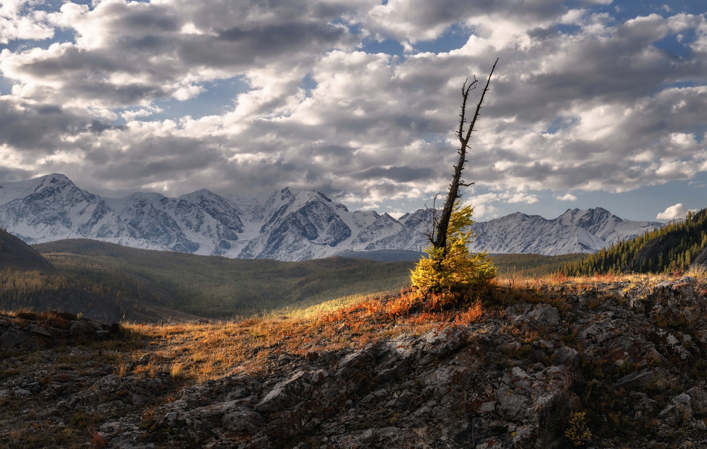 Полоска света.