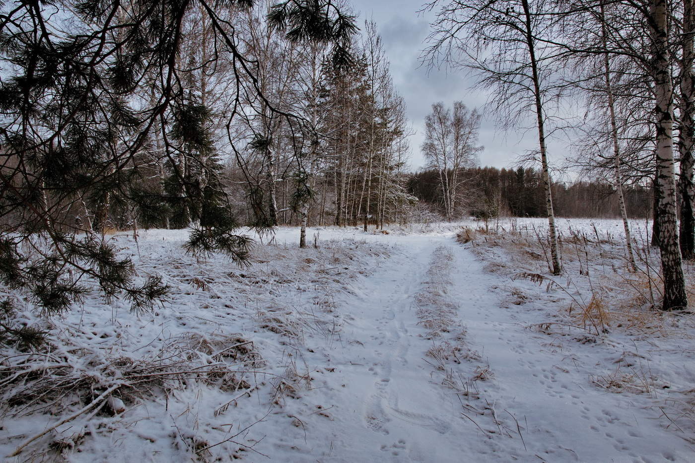 Ноябрьским днём.