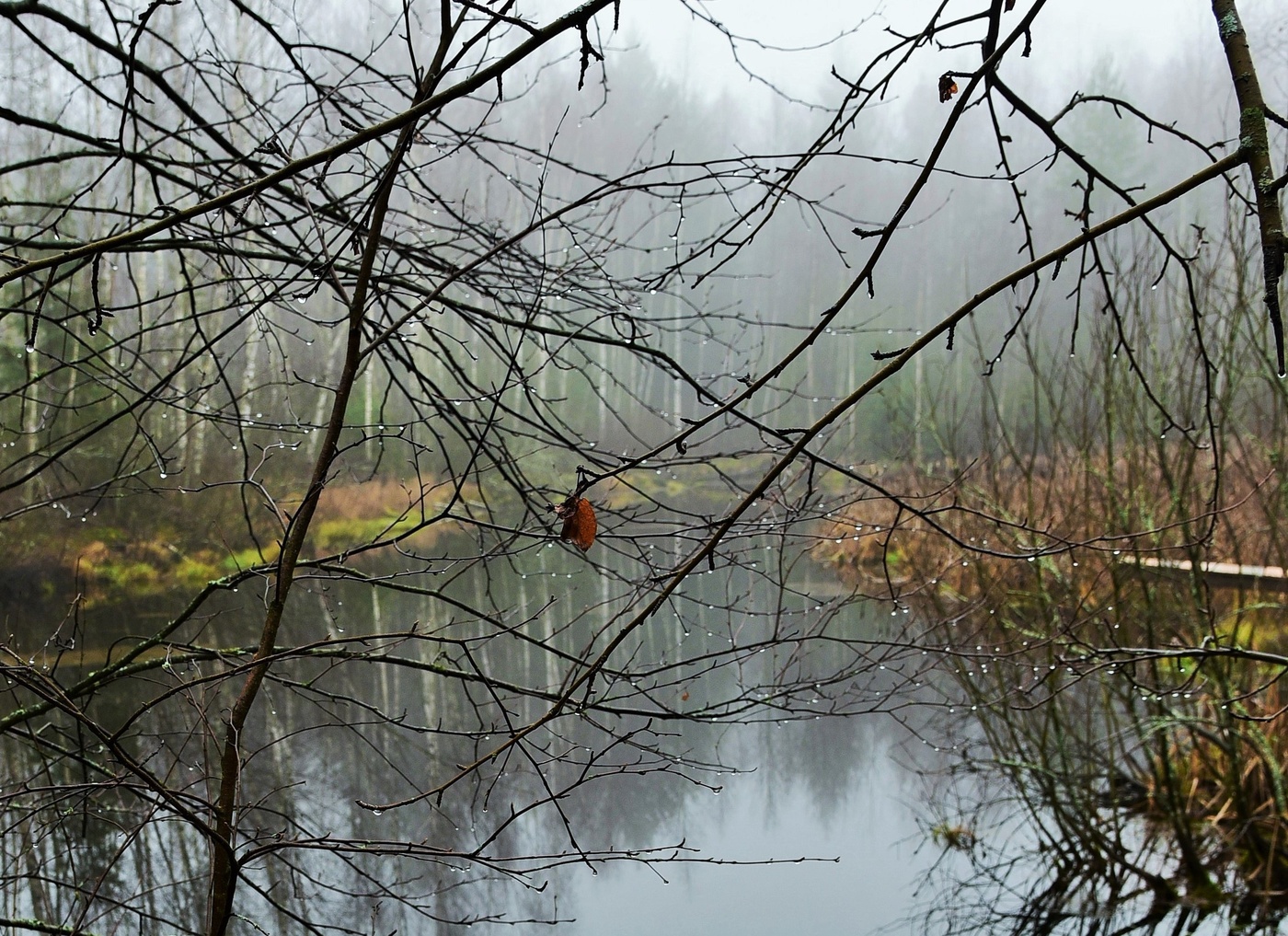 "Природа плачет, ей сегодня грустно ..."