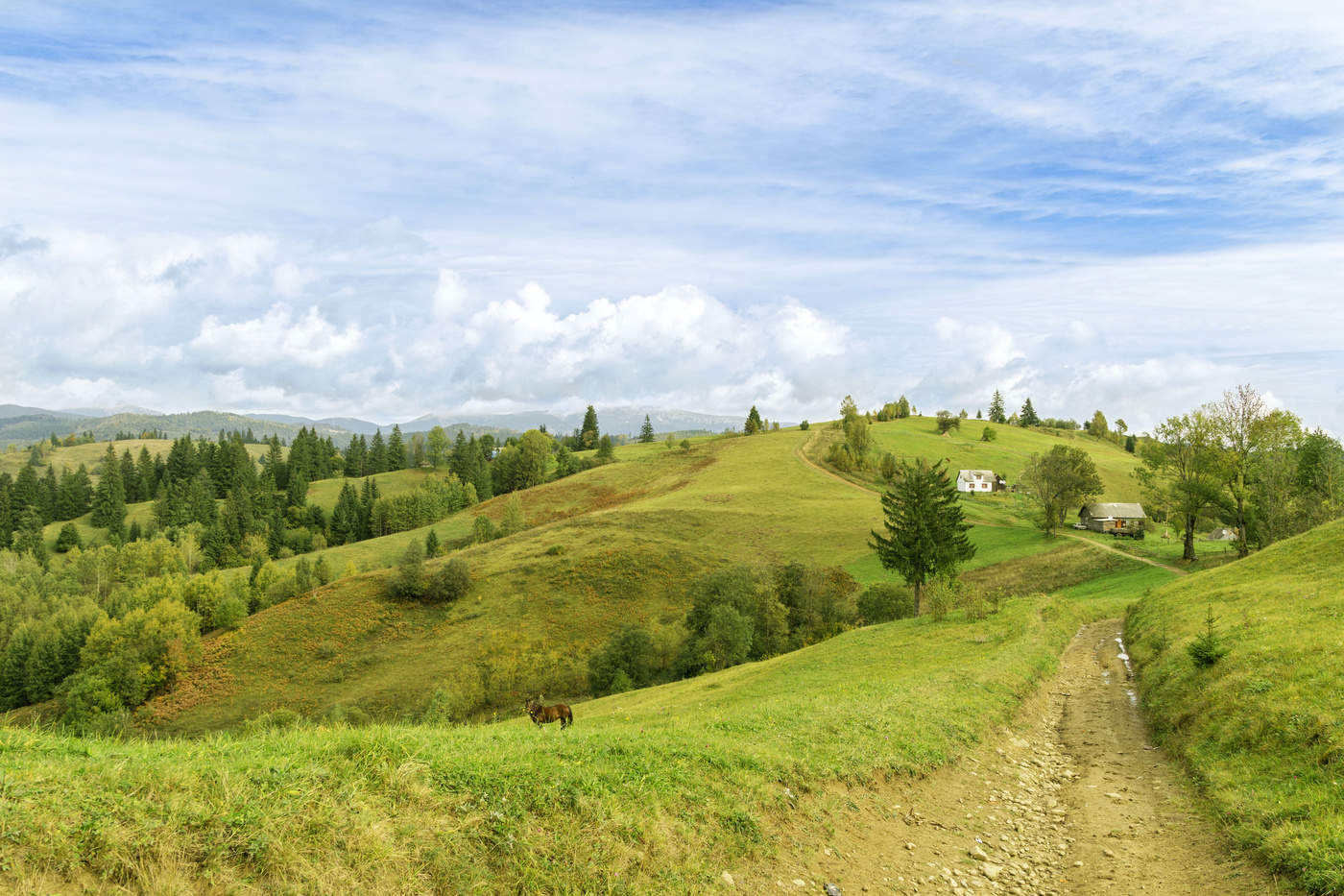 По долинам и по взгорьям...