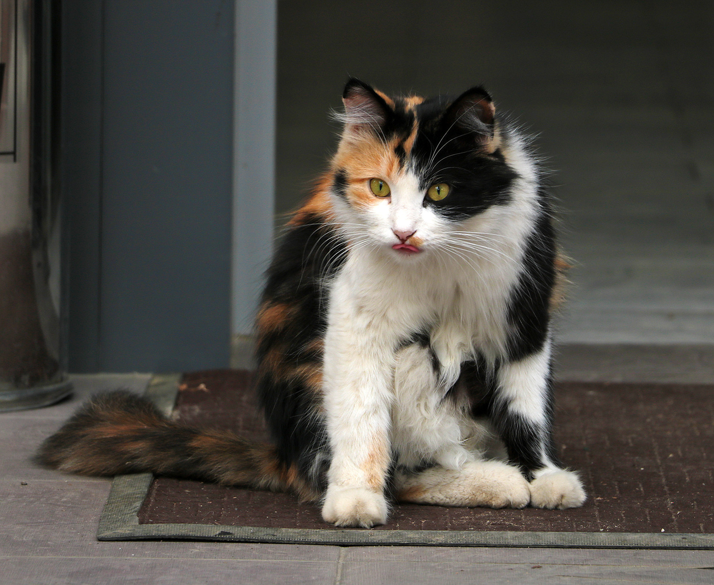 Не войдёшь!..