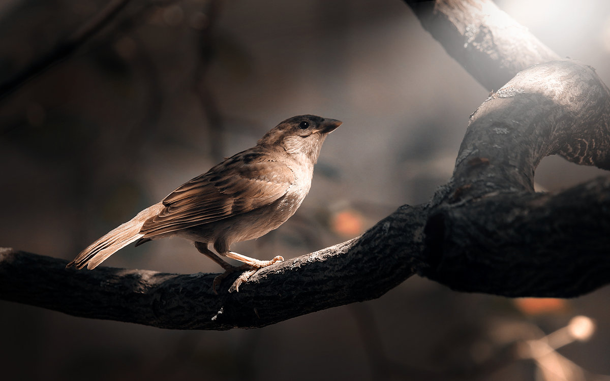 В укромном месте..