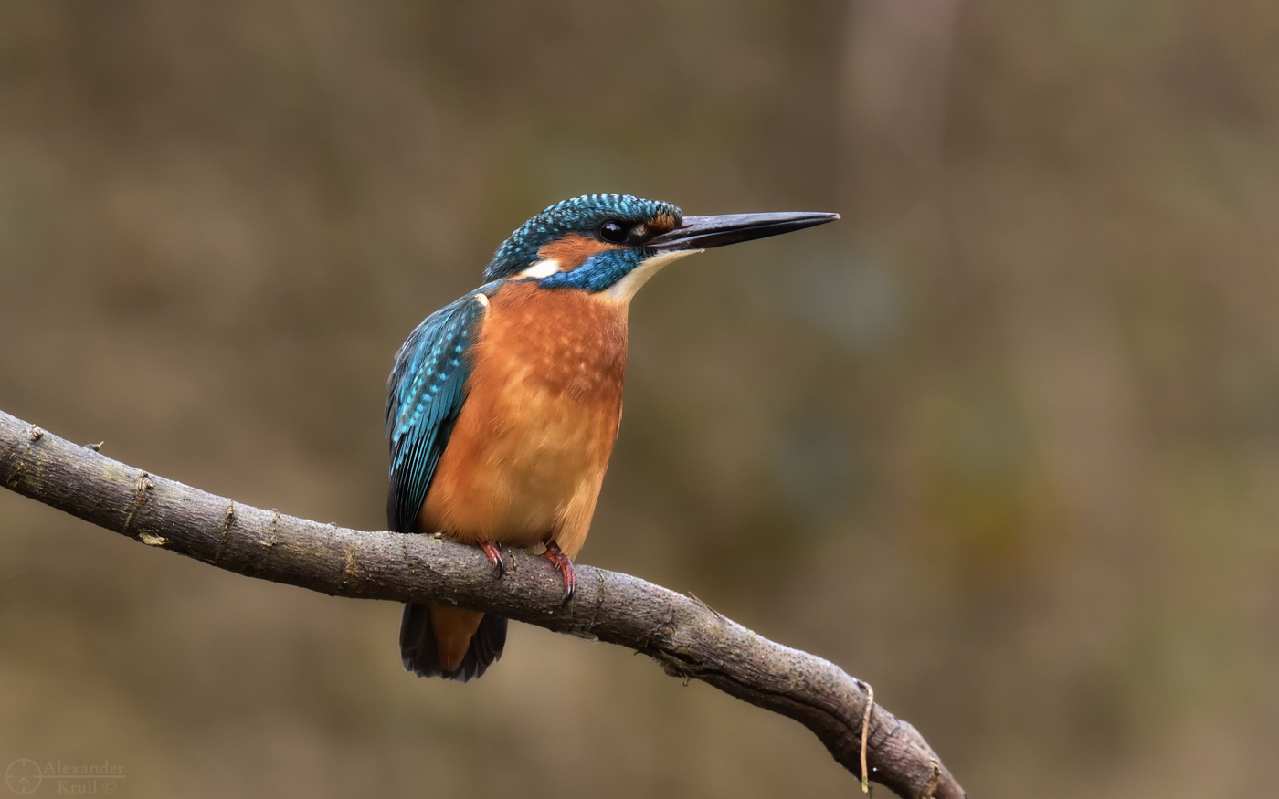 Настороженность...