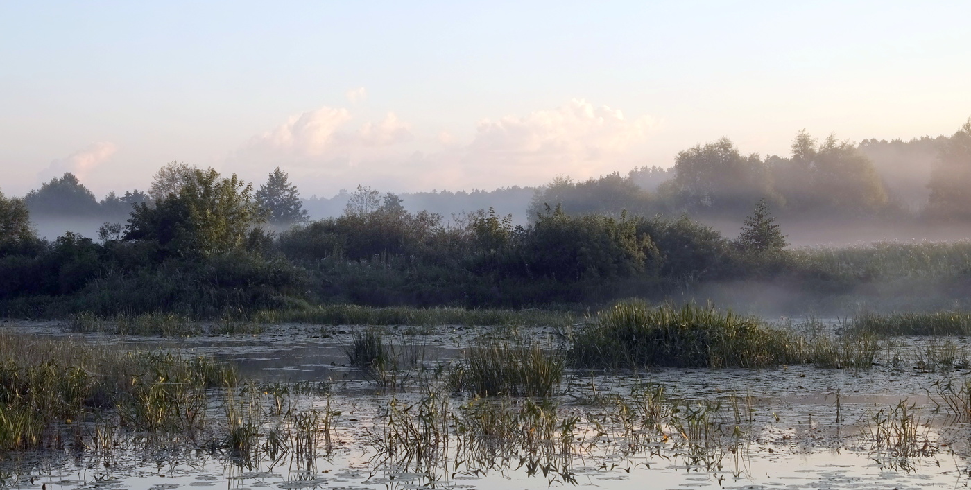 Летнее утро.