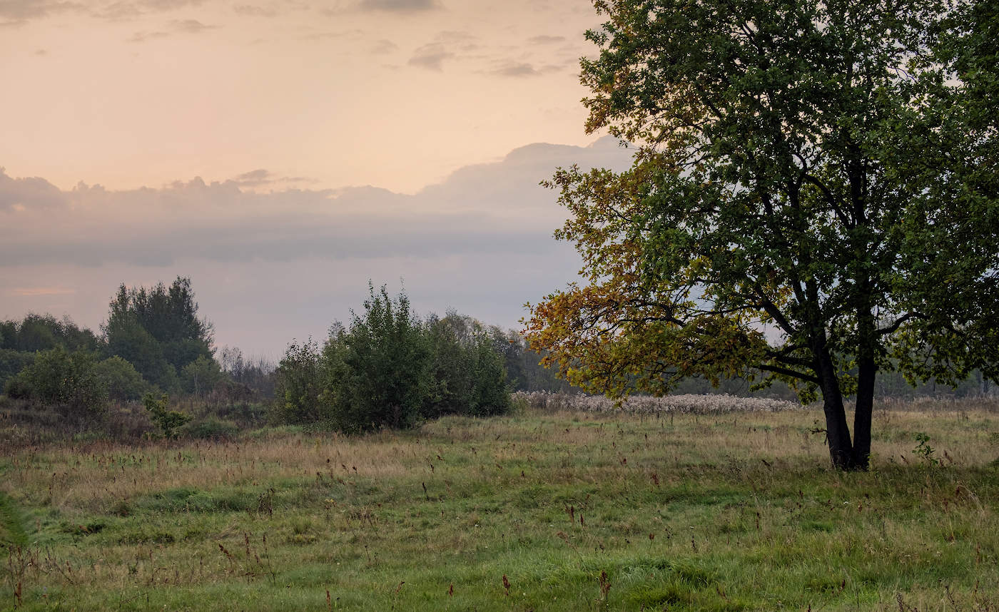Начало осени-накануне смены наряда на осенний