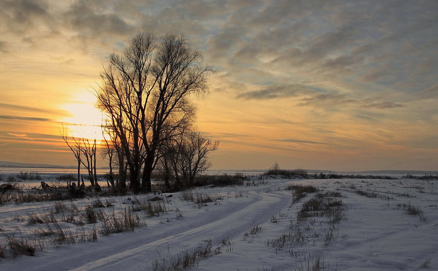 Дорога дальняя