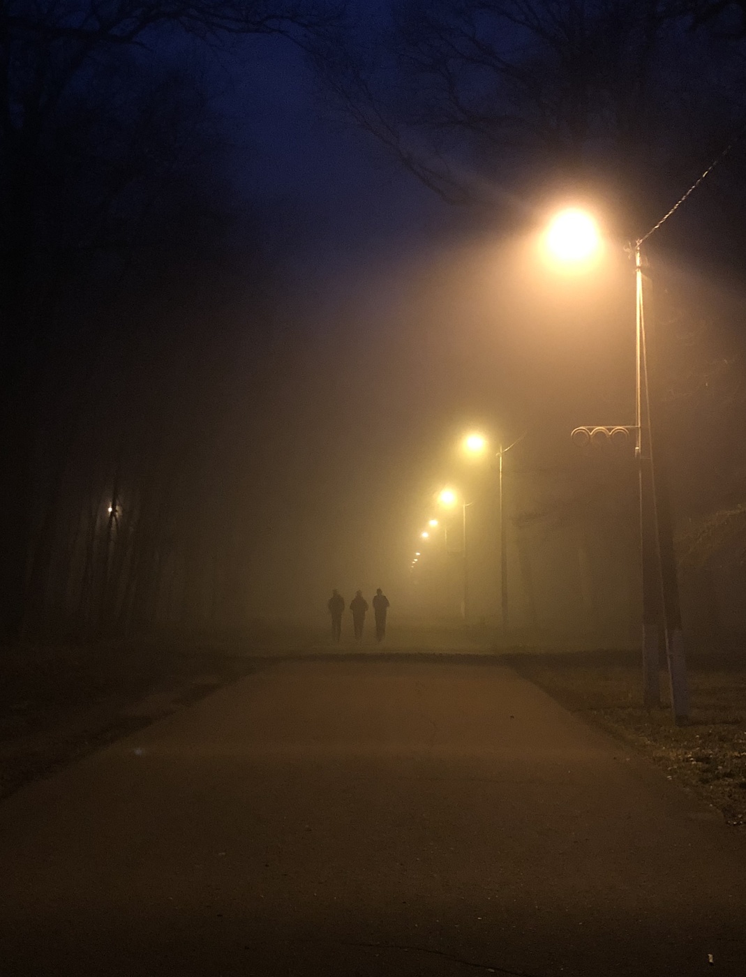 Туманный вечер на Олимпийской аллее