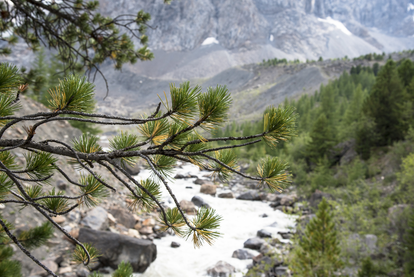 Пространственная композиция