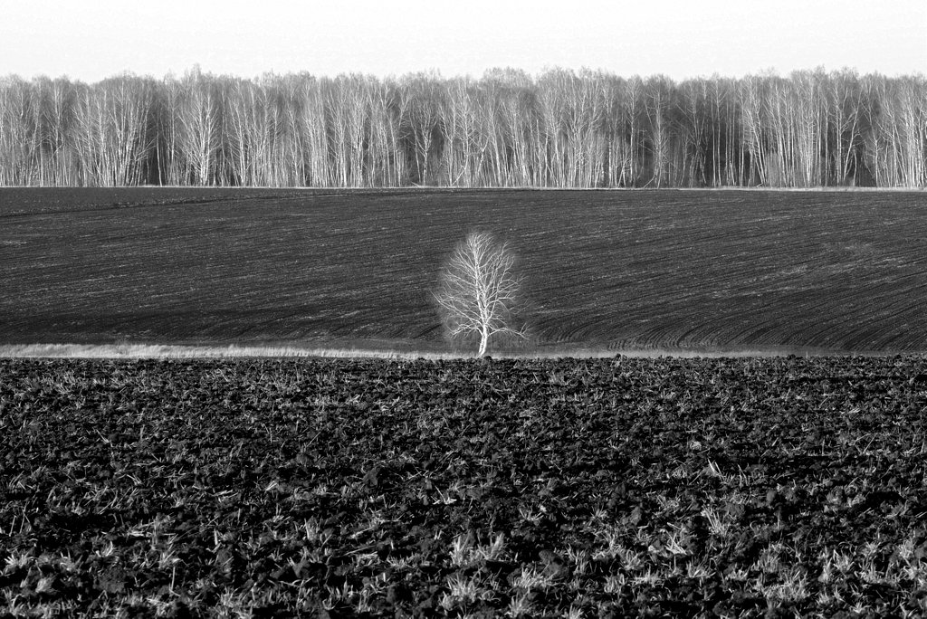 Пространственная композиция