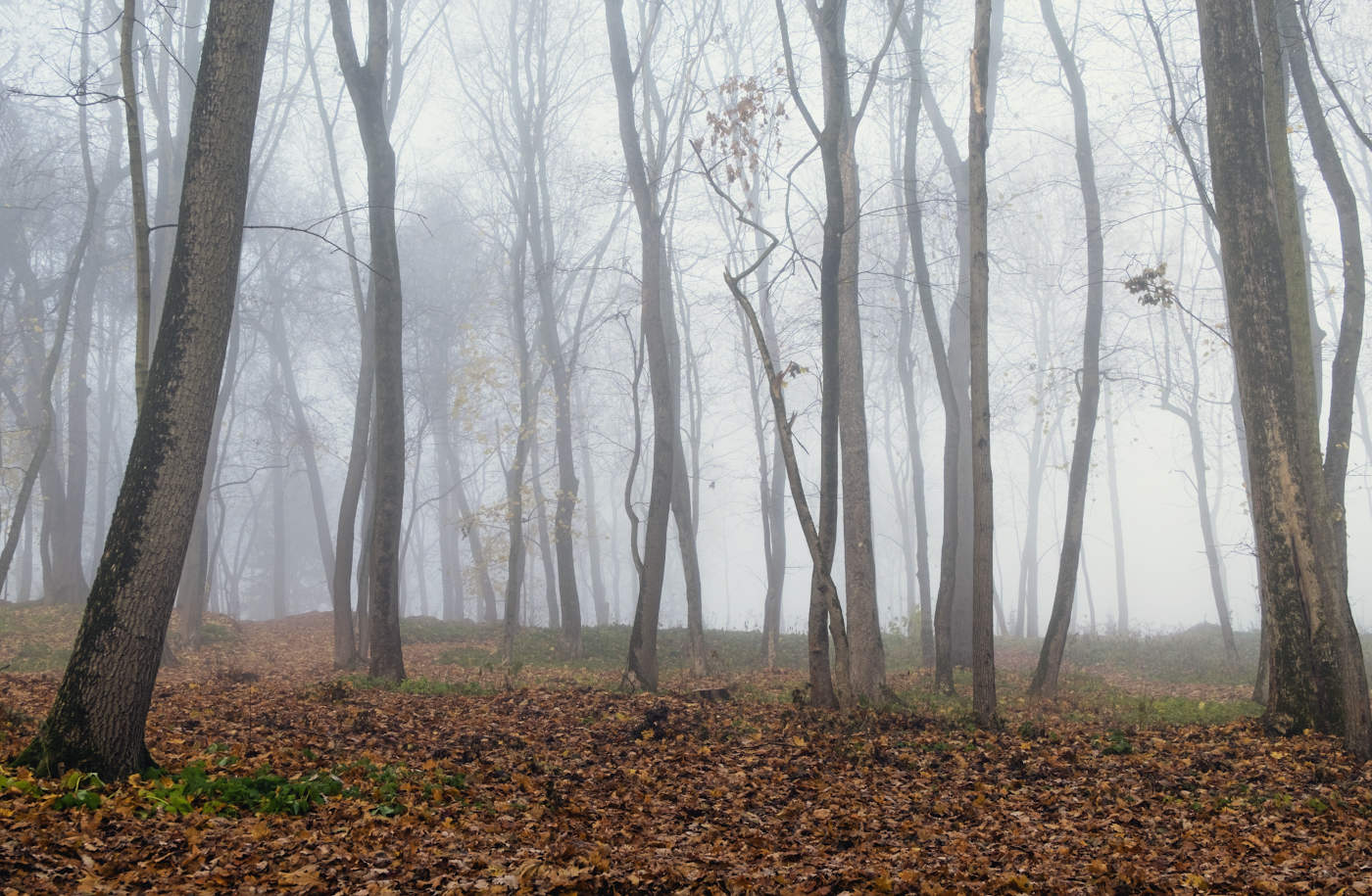 Грустный месяц ноябрь