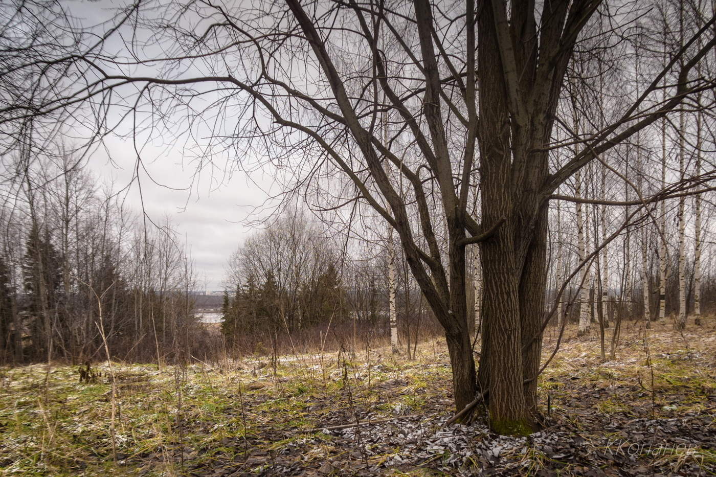 Ноябрьский сон