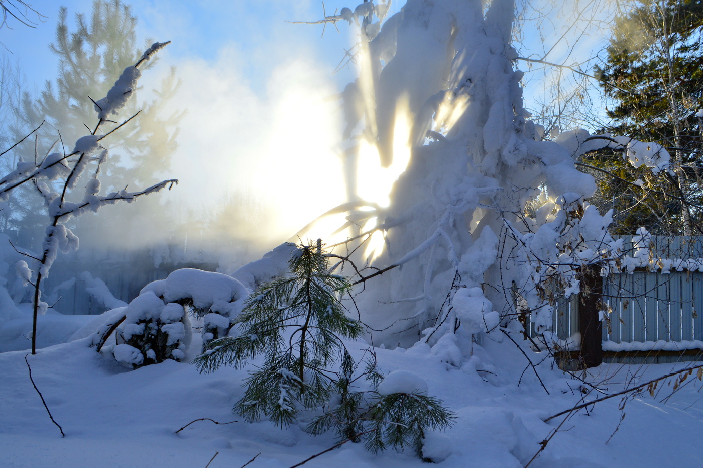 прошлогодняя история