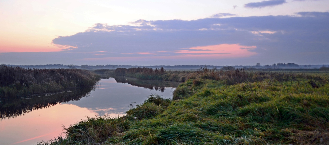 Утро осеннее