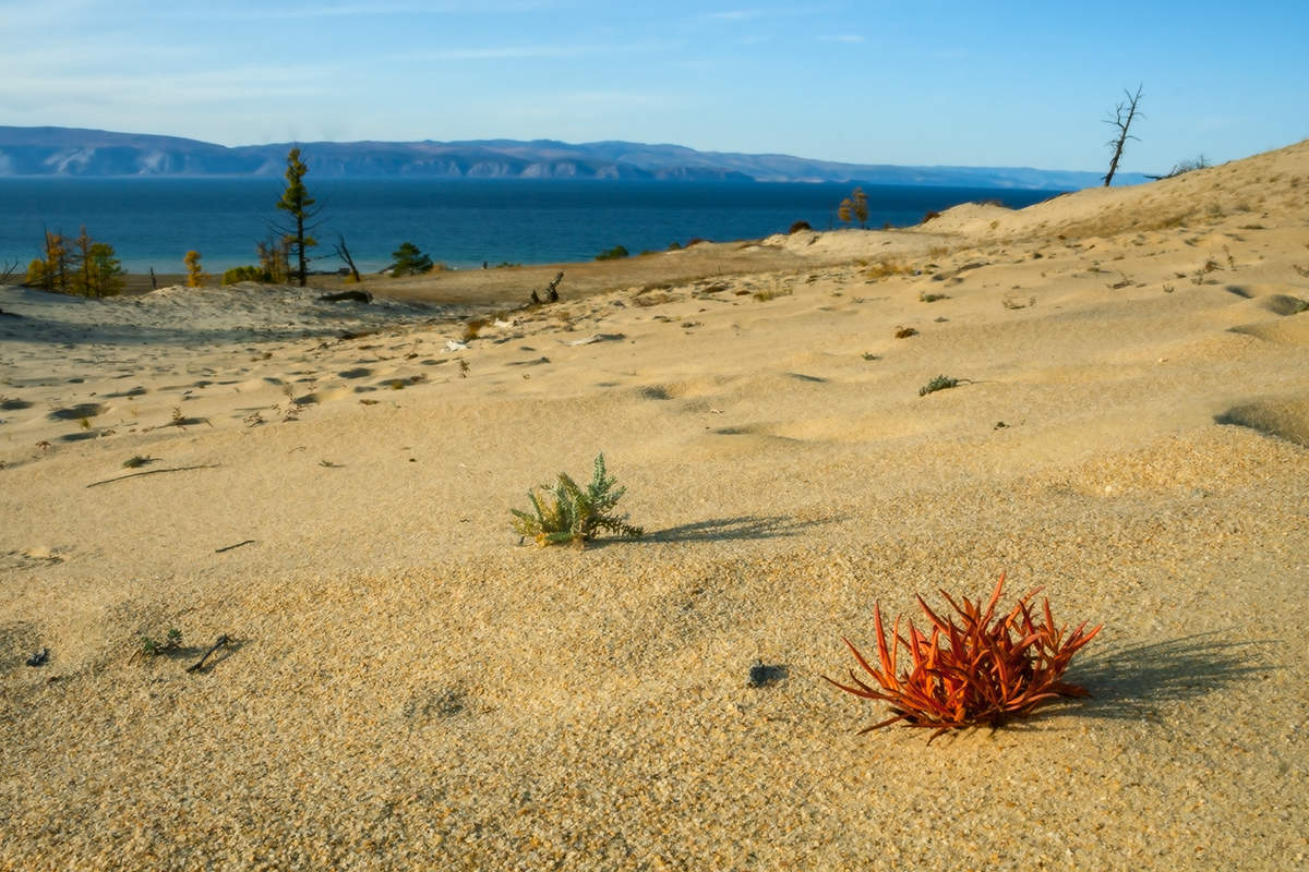 Берега Ольхона