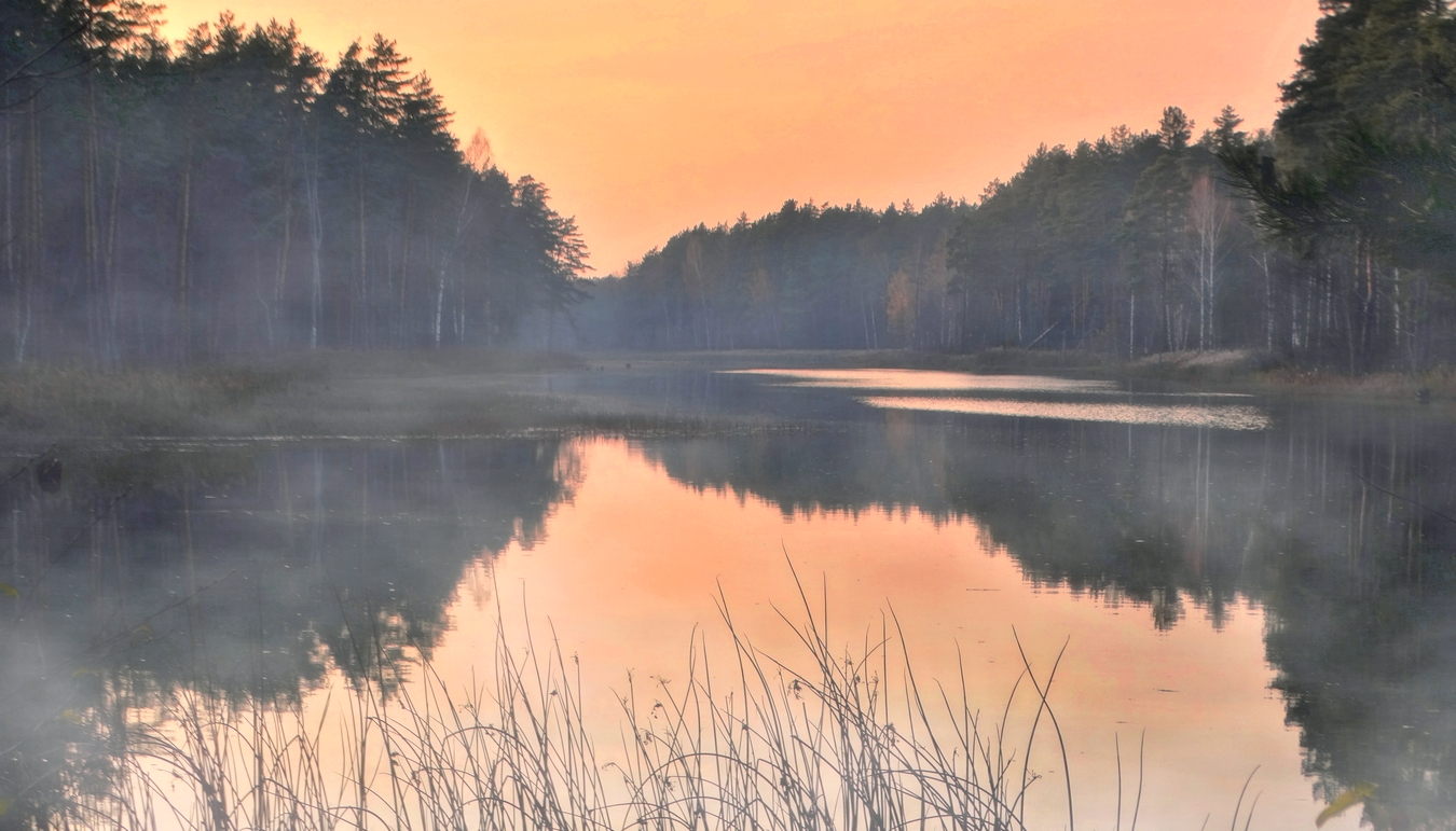 Осенний туманный вечер на озере