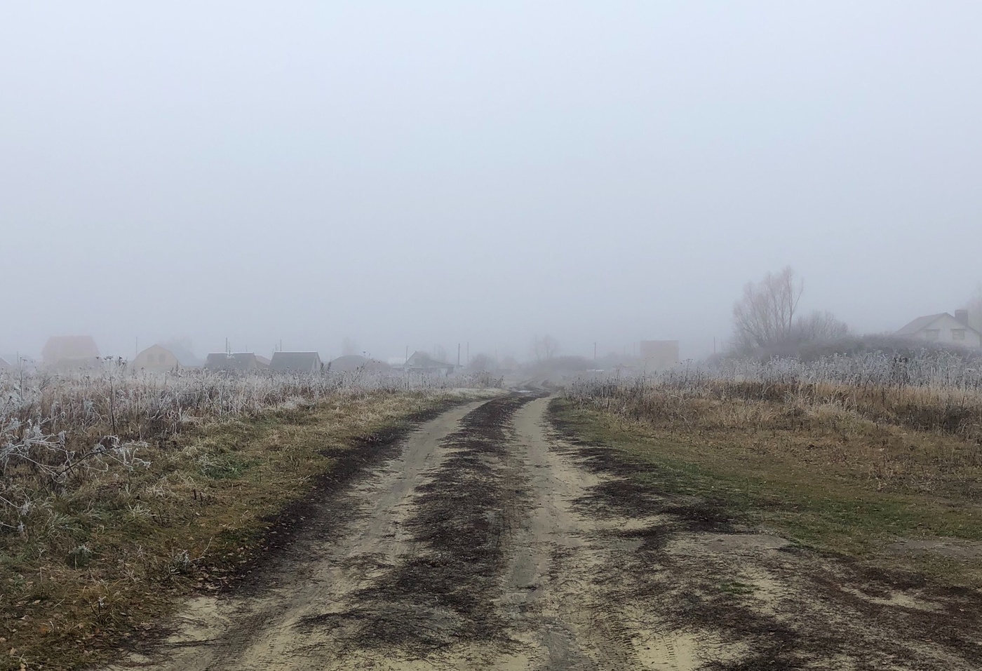 Поздняя осень