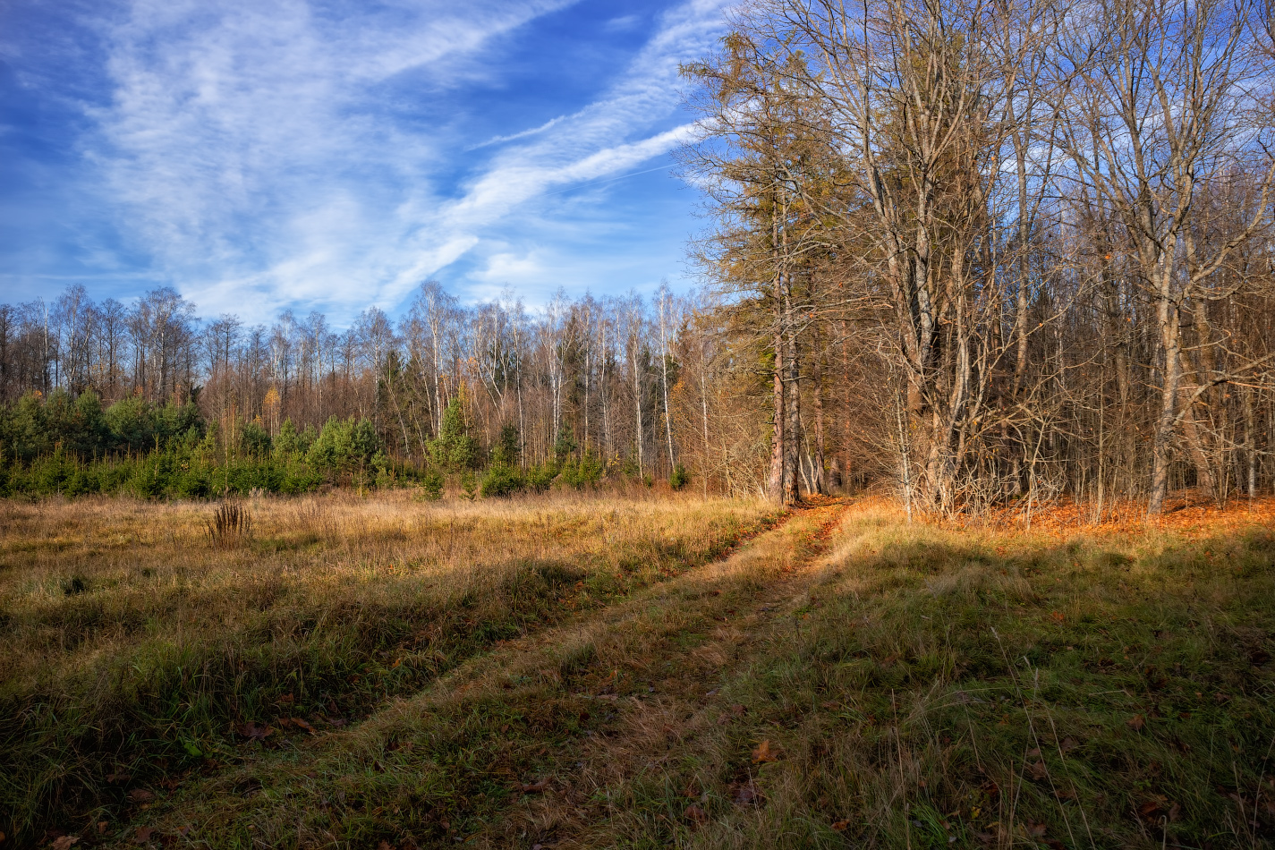 Осенняя зарисовка