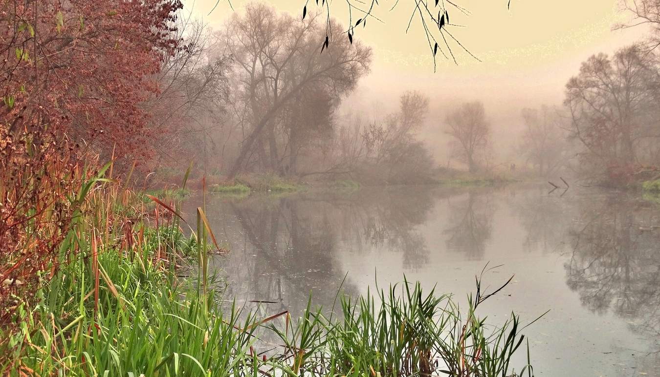 Последние штрихи осени