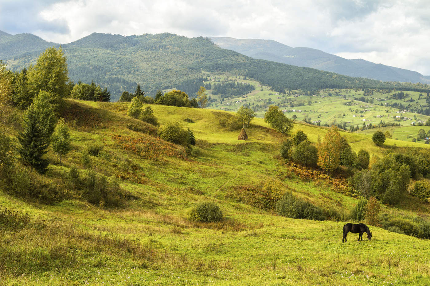 Простая жизнь Закарпатья