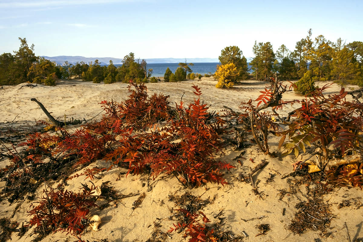 Берега Ольхона