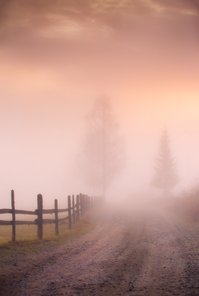 Ноябрьские лаконизмы