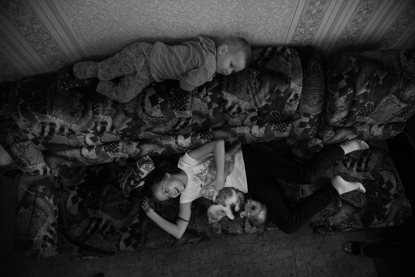 Ребята и котята