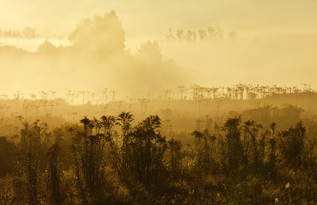 Послойная концепция