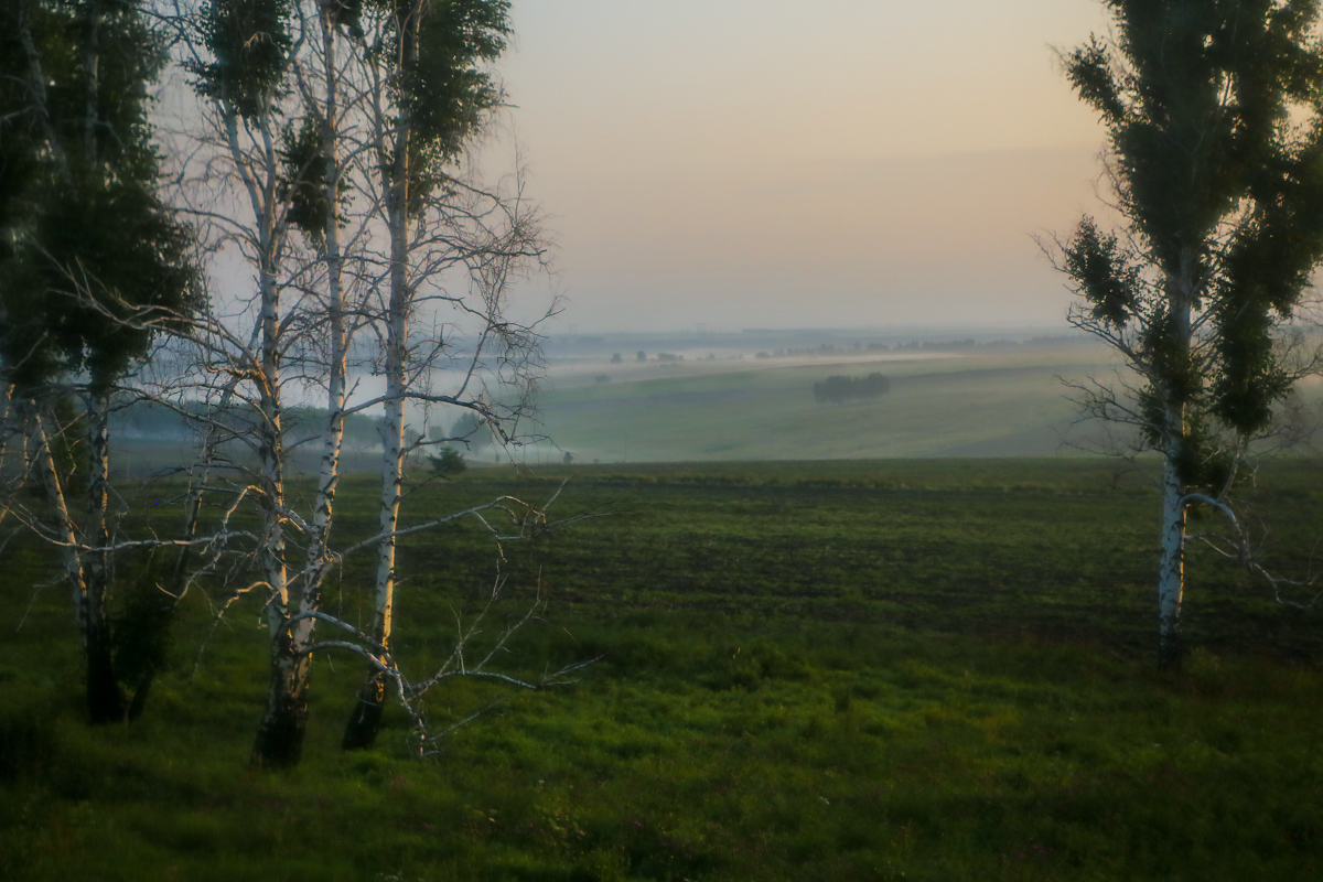 Первые лучи