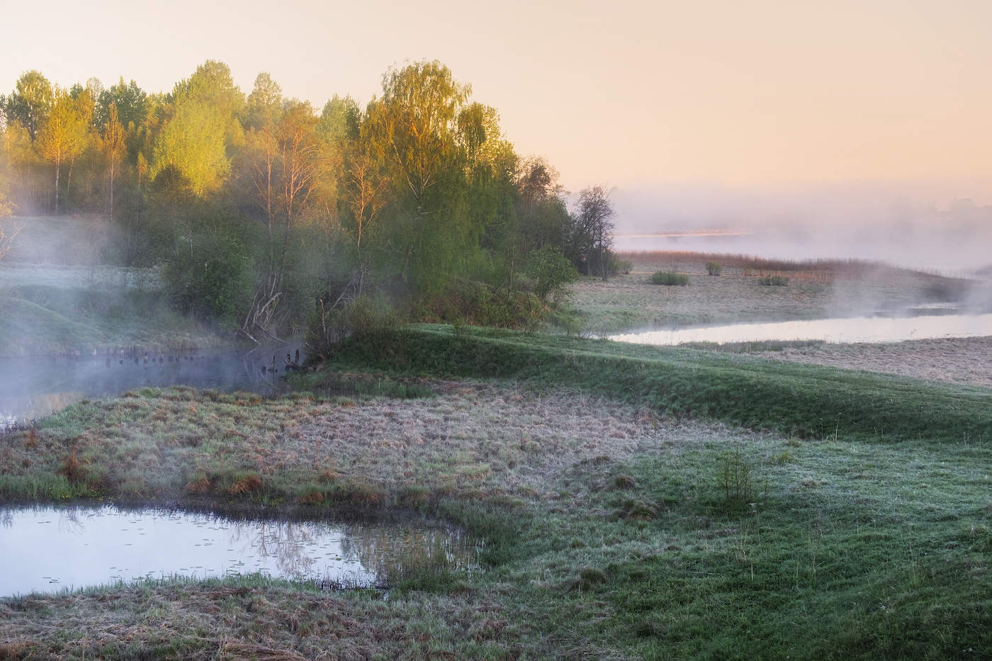 Майские заморозки