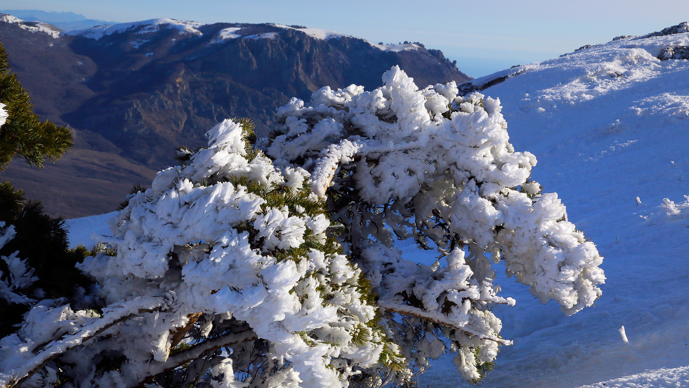 Воспоминания о будущей зиме