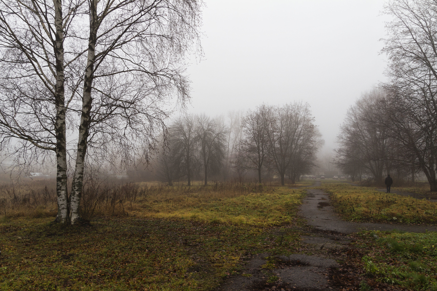 Туманное утро