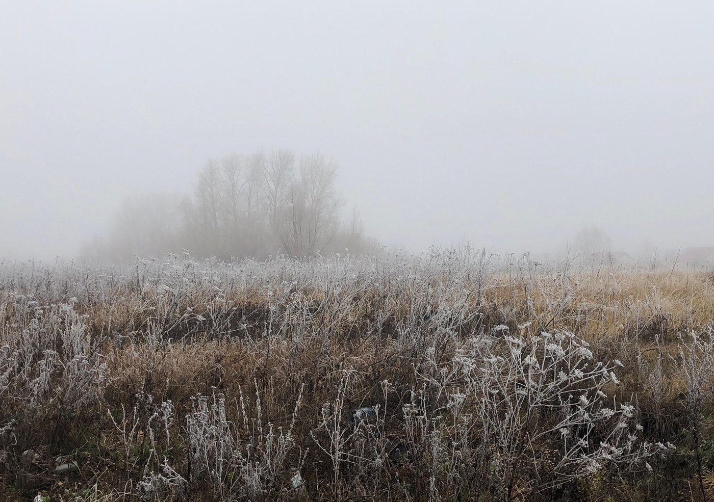 Туманный ноябрьский день