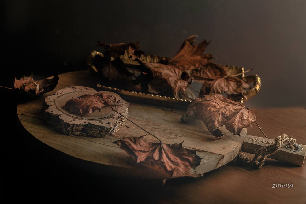 сухие листья