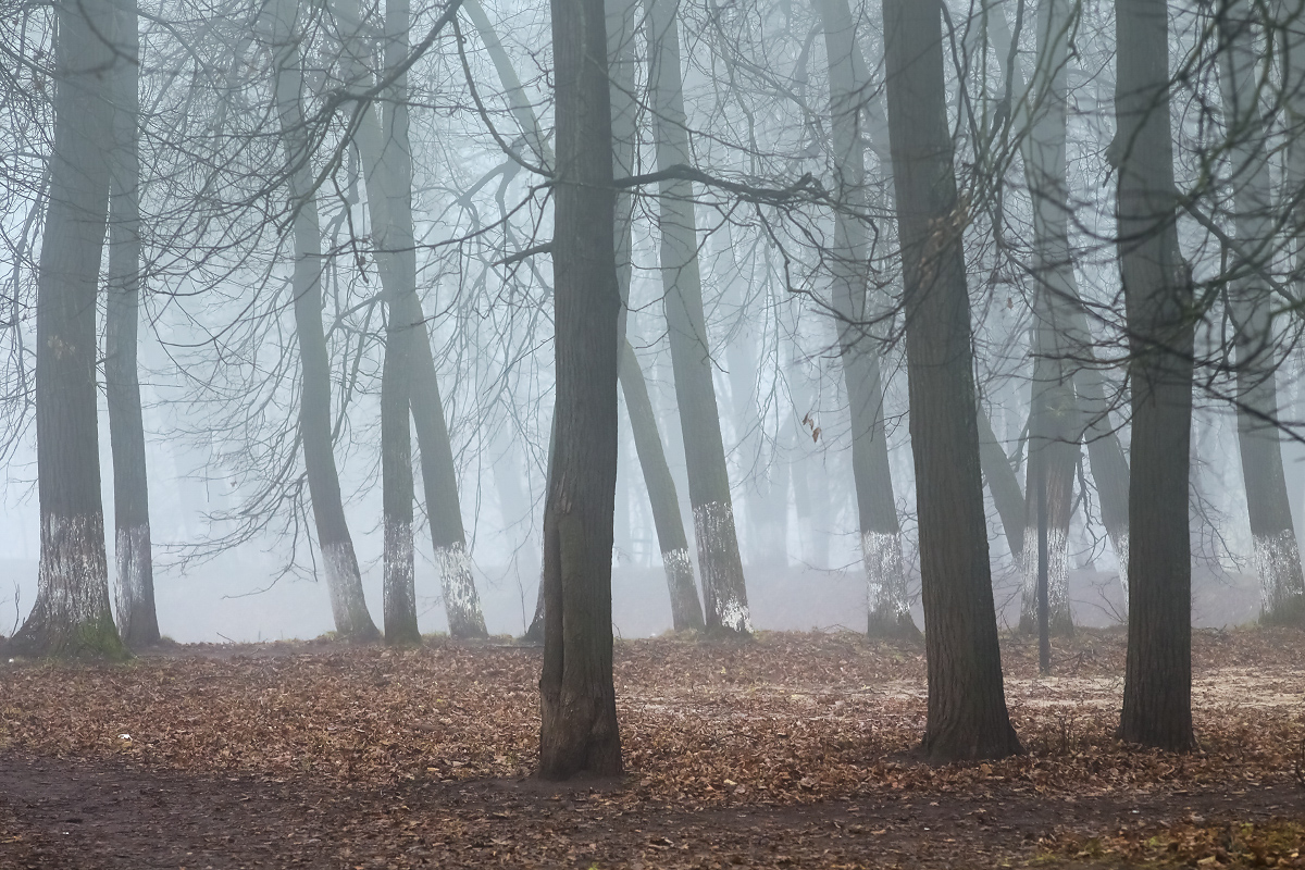 Белый танец