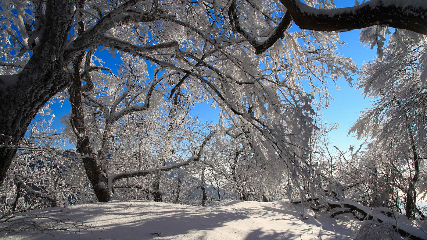 Воспоминания о будущей зиме*